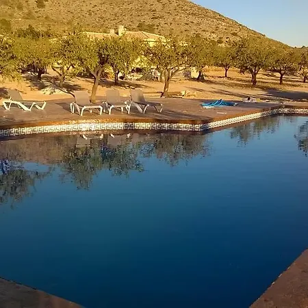 The Almond Grove