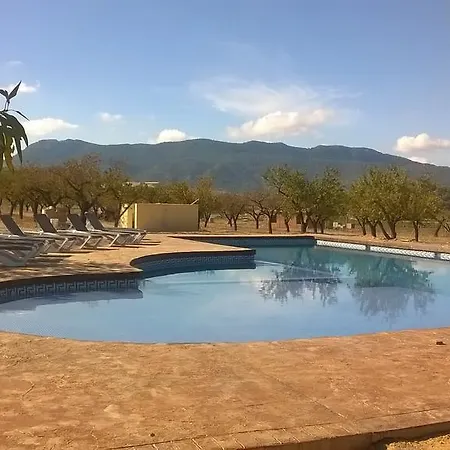 The Almond Grove * Hondón de las Nieves